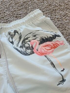 Philcos Light Green Swim Shorts with Flamingo Graphic